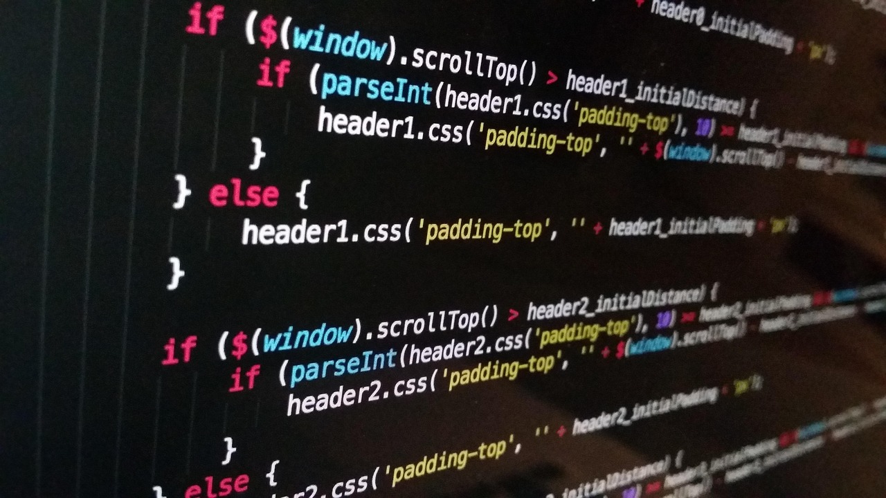 Custom software development services including application development, system integration, and enterprise solutions